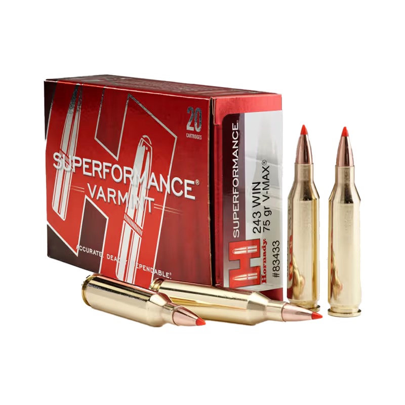 Hornady 243 75G V-Max Superformance