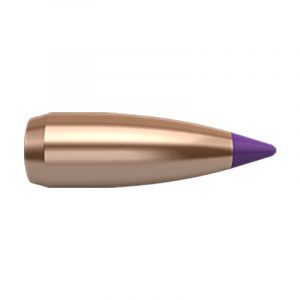 Nosler 6 mm/.243" 55gr Spitzer