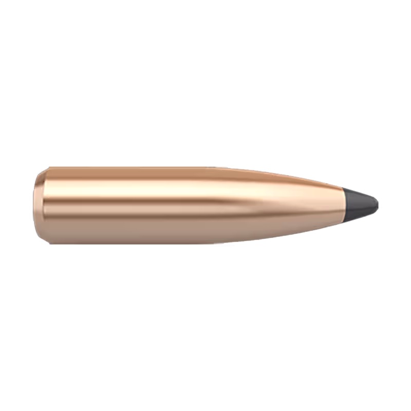 Nosler .25 115gr Partition